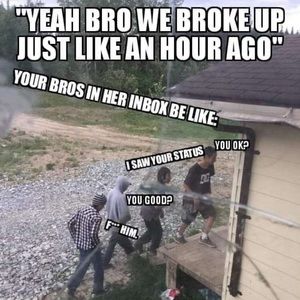 Meet your Posher, Gavin